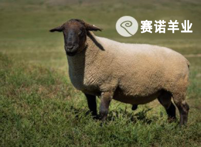 薩?？?>
                                            </a>
                                            <a href=